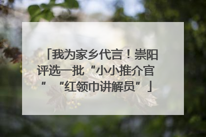 我为家乡代言！崇阳评选一批“小小推介官”“红领巾讲解员”