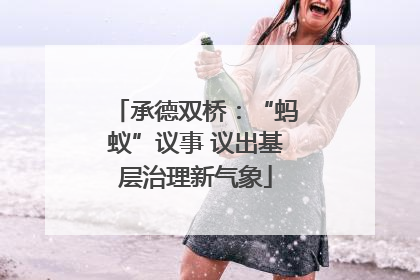 承德双桥：“蚂蚁”议事 议出基层治理新气象