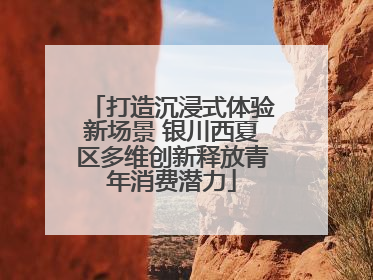 打造沉浸式体验新场景 银川西夏区多维创新释放青年消费潜力