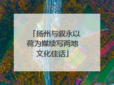 扬州与叙永以荷为媒续写两地文化佳话