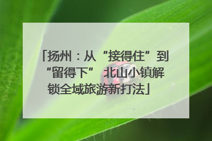 扬州：从“接得住”到“留得下” 北山小镇解锁全域旅游新打法