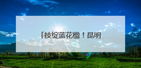 技绽蓝花楹！昆明技师学院为春城文旅添彩展职教风采