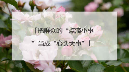 把群众的“点滴小事”当成“心头大事”