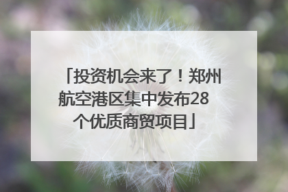 投资机会来了！郑州航空港区集中发布28个优质商贸项目