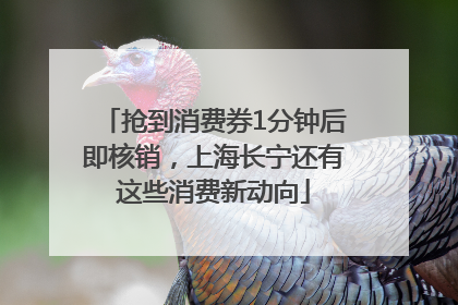 抢到消费券1分钟后即核销，上海长宁还有这些消费新动向