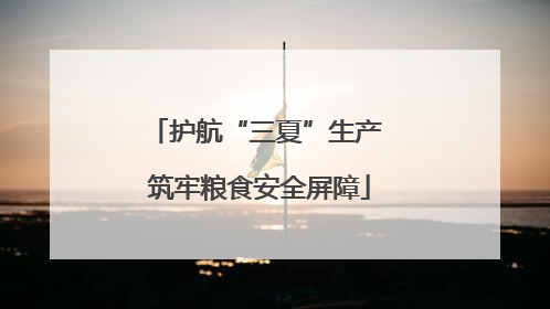 护航“三夏”生产 筑牢粮食安全屏障