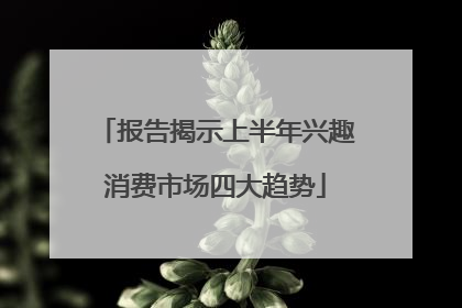 报告揭示上半年兴趣消费市场四大趋势