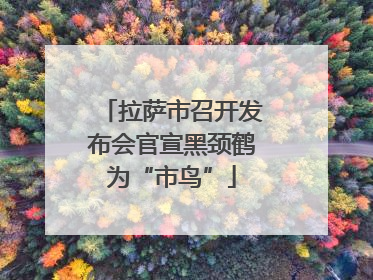 拉萨市召开发布会官宣黑颈鹤为“市鸟”