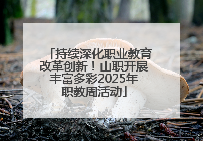 持续深化职业教育改革创新！山职开展丰富多彩2025年职教周活动