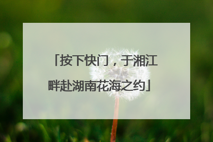 按下快门，于湘江畔赴湖南花海之约