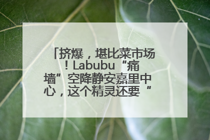 挤爆，堪比菜市场！Labubu“痛墙”空降静安嘉里中心，这个精灵还要“突袭”便利店？