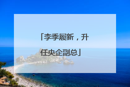 李季履新，升任央企副总