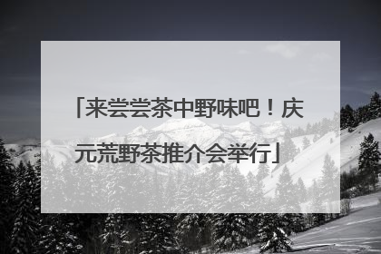 来尝尝茶中野味吧！庆元荒野茶推介会举行