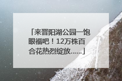 来晋阳湖公园一饱眼福吧！12万株百合花热烈绽放……