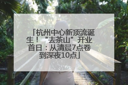 杭州中心新顶流诞生！“去茶山”开业首日：从清晨7点卷到深夜10点
