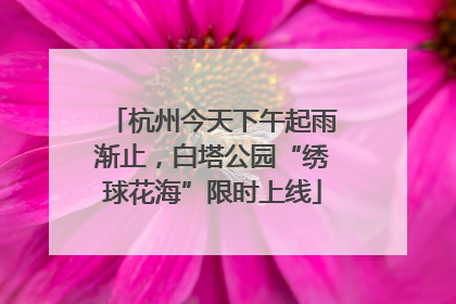 杭州今天下午起雨渐止，白塔公园“绣球花海”限时上线