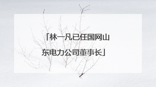 林一凡已任国网山东电力公司董事长