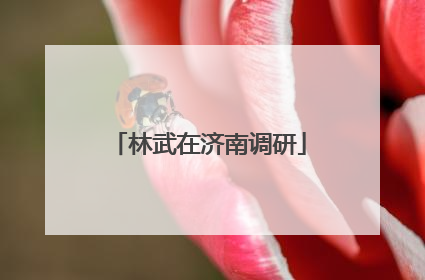 林武在济南调研