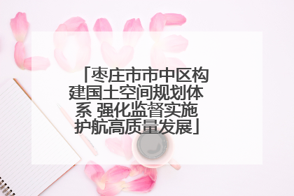 枣庄市市中区构建国土空间规划体系 强化监督实施护航高质量发展