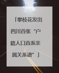 攀枝花发出四川首张“户籍人口直系亲属关系谱”