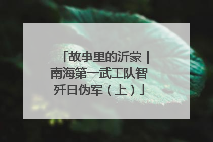 故事里的沂蒙｜南海第一武工队智歼日伪军（上）