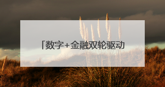 数字+金融双轮驱动，“栀梦行动”“浙”样赋能乡村振兴