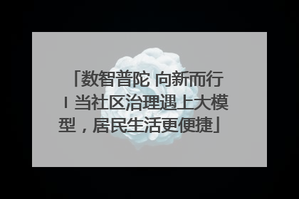 数智普陀 向新而行〡当社区治理遇上大模型，居民生活更便捷