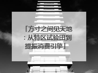 方寸之间见天地：从特区试验田到提振消费引擎