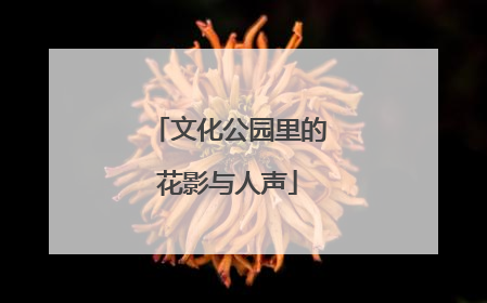 文化公园里的花影与人声