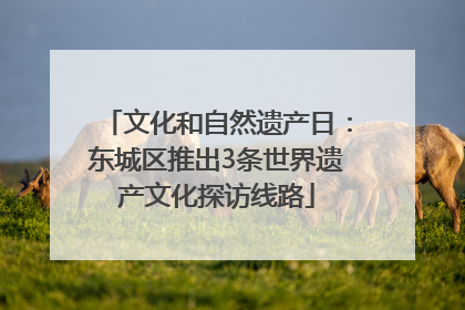 文化和自然遗产日：东城区推出3条世界遗产文化探访线路