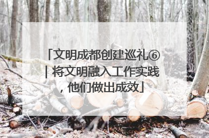 文明成都创建巡礼⑥｜将文明融入工作实践，他们做出成效