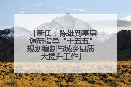 新田：陈雄到基层调研指导“十五五”规划编制与城乡品质大提升工作