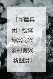 新疆兵团：绘就绿富同兴乡村振兴新图景