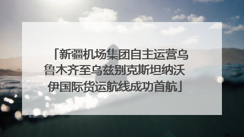新疆机场集团自主运营乌鲁木齐至乌兹别克斯坦纳沃伊国际货运航线成功首航