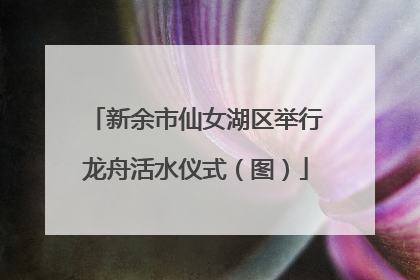 新余市仙女湖区举行龙舟活水仪式（图）