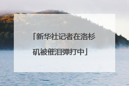 新华社记者在洛杉矶被催泪弹打中