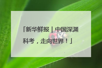 新华鲜报｜中国深渊科考，走向世界！