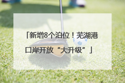 新增8个泊位！芜湖港口岸开放“大升级”