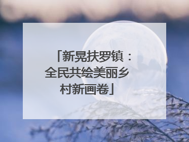 新晃扶罗镇：全民共绘美丽乡村新画卷