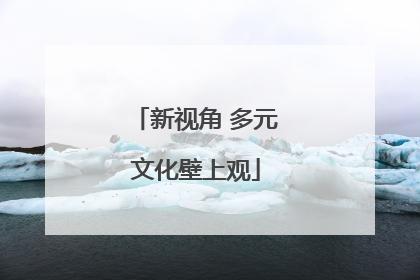 新视角 多元文化壁上观