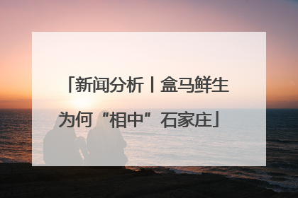 新闻分析丨盒马鲜生为何“相中”石家庄