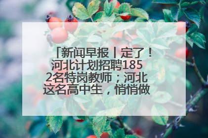 新闻早报丨定了！河北计划招聘1852名特岗教师；河北这名高中生，悄悄做了件超酷的事>>