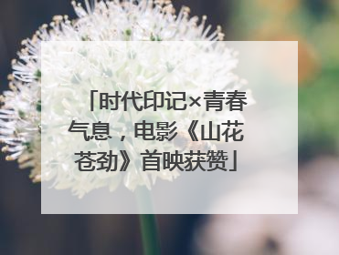 时代印记×青春气息，电影《山花苍劲》首映获赞