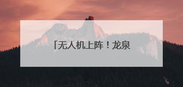 无人机上阵！龙泉“飞防”作业助力松材线虫病防治