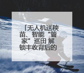 无人机送秧苗、智能“管家”巡田 解锁丰收背后的科技密码