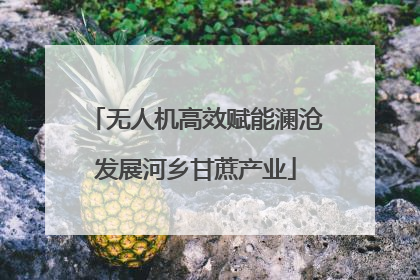 无人机高效赋能澜沧发展河乡甘蔗产业