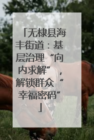 无棣县海丰街道：基层治理“向内求解”，解锁群众“幸福密码”