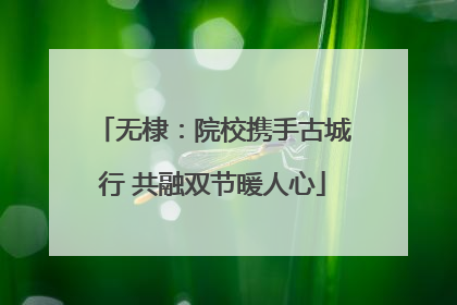 无棣：院校携手古城行 共融双节暖人心
