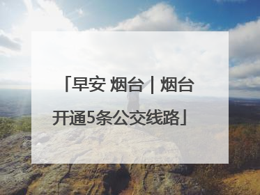 早安 烟台｜烟台开通5条公交线路