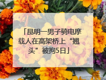 昆明一男子骑电摩载人在高架桥上“翘头”被拘5日
